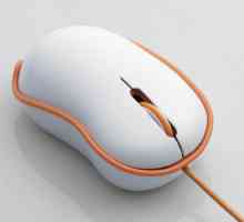Cum să dezasamblați mouse-ul pentru a elimina defecțiunea?