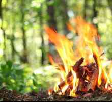 Cum de a aprinde un foc dintr-o lovitură de taiga din trei bușteni?