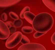 Cum se elimină sângele lichefiat remedii folk? Produse care diluează sângele. Preparate