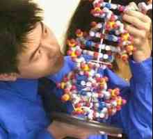 Cum se face analiza ADN-ului?