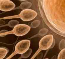 Cum să luați o spermogramă în Invitro? Cum să treci analiza - o spermogramă?