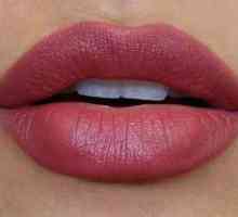 Cum sa faci buzele perfecte pentru o femeie: instruire pas cu pas