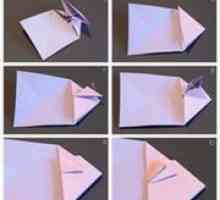 Cum de a face o inimă modulară origami?