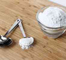 Cum să faci zahăr pudră acasă pentru decorare și coacere?