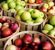 Cum sa faci lumanarea din sucul de mere la domiciliu