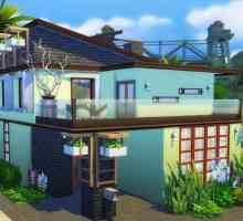 Cum să descărcați casa în `The Sims 4` și cum să le instalați?