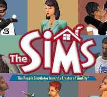 Cât de repede va fi data lansării "The Sims 5" în Rusia