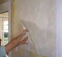 Cum să eliminați tapetul de vinil de pe pereți ușor și rapid: modalități eficiente și recomandări