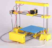 Cum se construiește o imprimantă 3D cu mâinile tale?