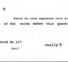 Cum să scrieți corect o întrebare în limba engleză?