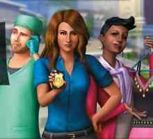 Cum să scrieți rapoarte în "The Sims 4": principalele căi și posibile probleme