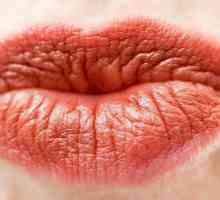 Cum de a crea efectul buzelor sărutate