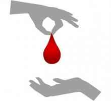 Cum de a deveni donator de sânge? Ce este necesar pentru a deveni donator de sânge? Cine nu ar…