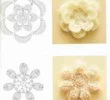 Cum să tricot tri-dimensională flori croșetat