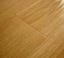 Cum să eliminați zgârieturile de pe podeaua laminată la domiciliu: modalități eficiente și…