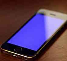 Cum de a elimina ecranul albastru pe iPhone 5S? Motive și soluții