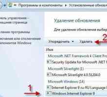 Cum pot să șterg Internet Explorer din Windows 7 sau din orice alt sistem?