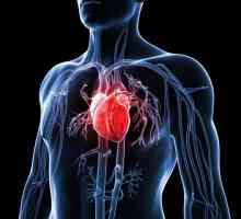 Cum de a întări inima? Sfat cardiolog și trei pași majori spre o inimă sănătoasă