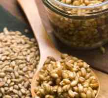 Как употреблять пророщенную пшеницу правильно