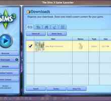 Cum se instalează add-on-uri în `Sims 3`: instrucțiuni
