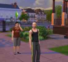 Cum se instalează modurile pentru "The Sims 4": recomandări