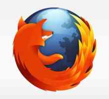 Cum se instalează, actualizează și cum se elimină pluginul din Firefox?