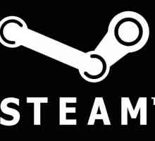 Cum puteți afla codul "Steam" (nu numele profilului)?
