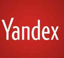 Cum se adaugă extensii la Yandex.Browser? Ce suplimente pentru un browser web?