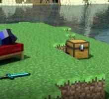 Cum in "Minecraft" sa trigeti cu programe si prin consola?