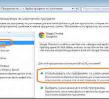 Cum să dezinstalați Internet Explorer în Windows 7: metode de bază