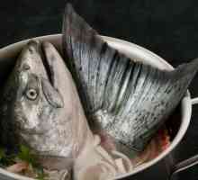 Cum să fierbeți o ureche de la un cap de pește? Rețeta pentru gătit
