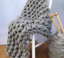 Cum să tricot plaids cu ace de tricotat: scheme și descrierea de mai multe modele simple