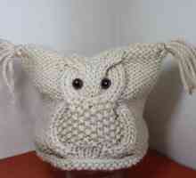 Cum se potrivește pălăria `Owl` cu acele de tricotat: o diagramă cu o descriere
