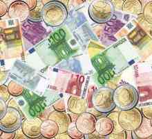 Cum să investiți în euro? Este profitabil să investiți în euro?