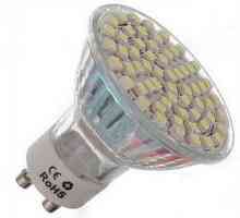 Cum de a alege o lampă LED? Caracteristici, tipuri și producători