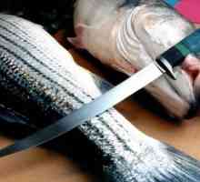 Cum să alegi un cuțit pentru pești. Cuțit de calitate pentru tăierea peștelui
