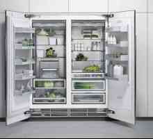 Cum de a alege un frigider bun ieftin? Unde sunt cele mai ieftine frigidere?