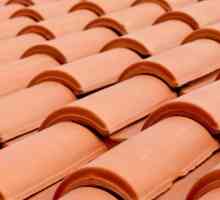 Cum de a alege cel mai bun material pentru acoperiș. Tipuri de material acoperiș pentru acoperișuri