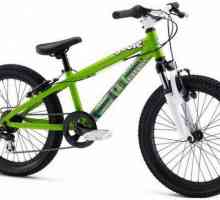 Cum de a alege o bicicletă de 20 inch pentru un băiat?