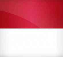 Ce arată steagul Monaco și cum diferă de indonezian