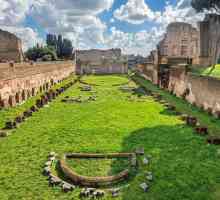 Palatina din Roma arata ca: fotografie