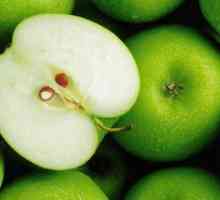 Cum să crească mărul dintr-o sămânță? Plantarea și îngrijirea