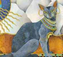 Cum să chemi o pisică de egiptean? Cele mai corecte ritualuri