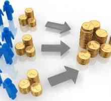 Cum se completează o declarație privind modificările capitalului propriu: Instrucțiuni