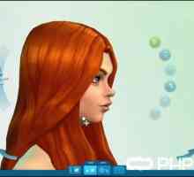 Cum se pornește Sims 4, sau Totul despre pornirea `sims`