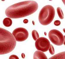 Cum se numește partea lichidă a sângelui?