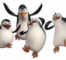 Care sunt numele pinguinilor din Madagascar și aventurile lor