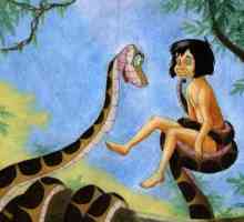 Care a fost numele boa constrictor de la Mowgli Kipling: ne amintim cel mai înfricoșător caracter…