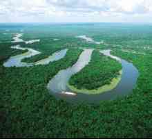 Care râu este mai lung: Amazon sau Nil? Comparație între lungimea Nilului și lungimea Amazonului