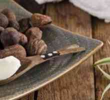 Unt de cacao pentru păr: caracteristici de aplicare, rețete și recenzii